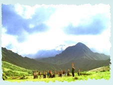 Episode 03x01 - A Tale Of Two Cities